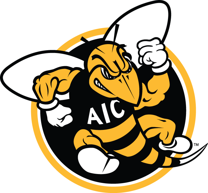 AIC Yellow Jackets 2009-Pres Alternate Logo DIY iron on transfer (heat transfer)